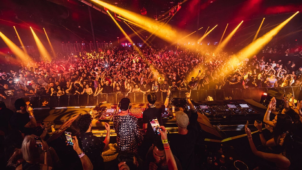 Premium Limo Service to Wynwood Concerts & Nightlife Miami