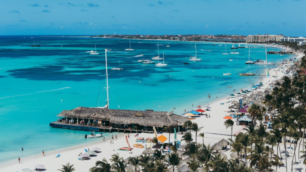 Car Service from Miami to Palm Beach | Luxury Private Transportation by MiamiCoach Worldwide